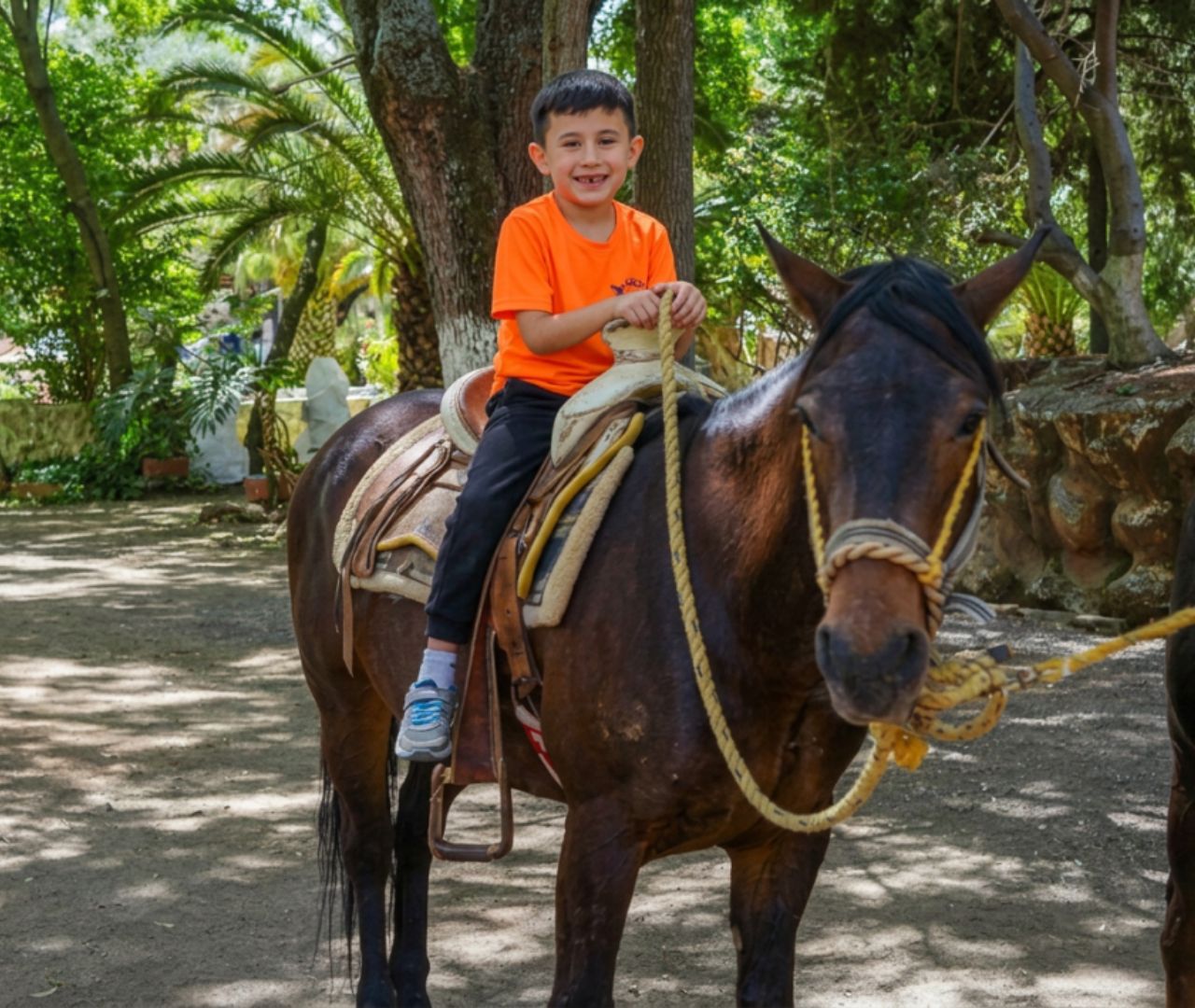 Niño en paseo a caballo