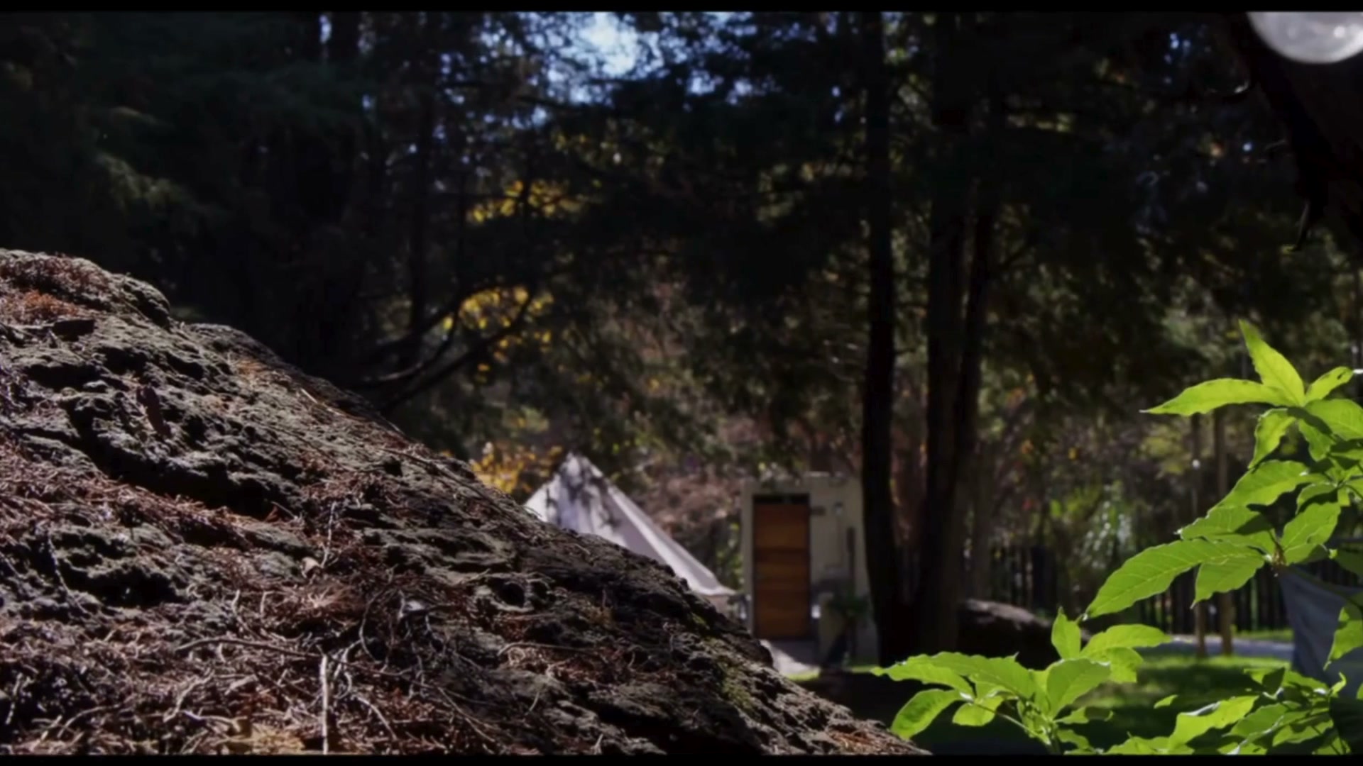 Bosque y glamping en Hacienda Coyotes